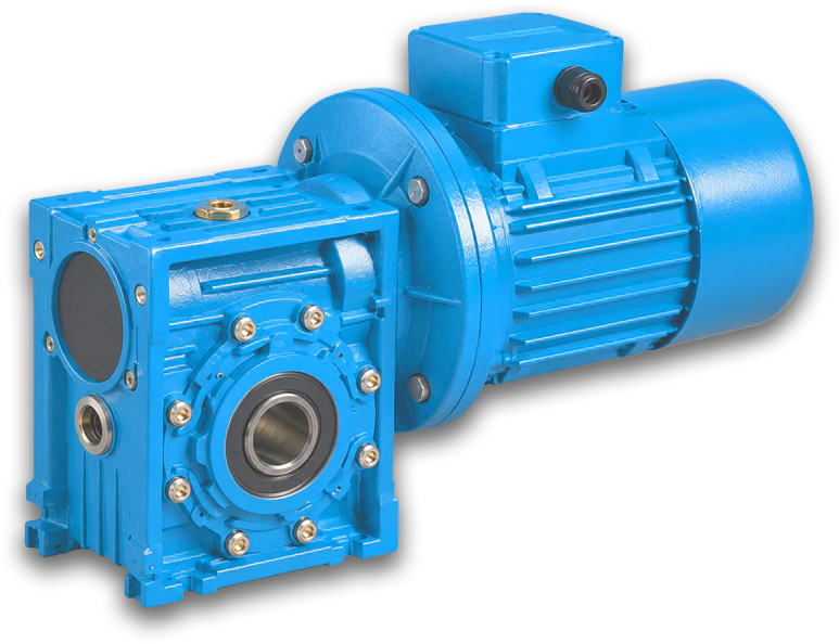 RV Series worm gear reducer